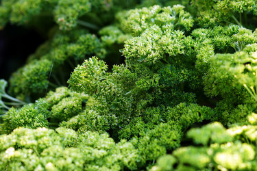 Similar image 6887449