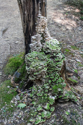 Similar image 6887590