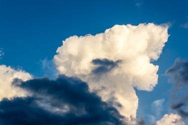 Similar image 6887594