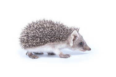 Similar image 6887647