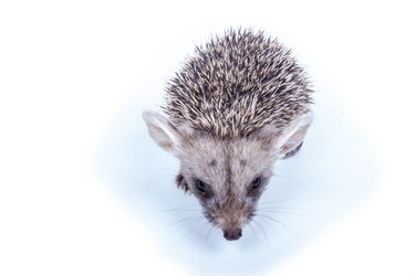 Similar image 6887649