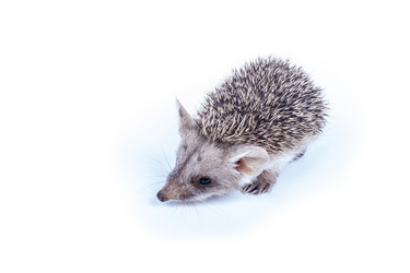 Similar image 6887651