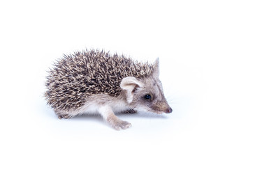 Similar image 6887658