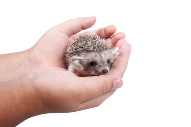 Similar image 6887666