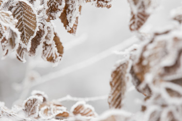 Similar image 6906363