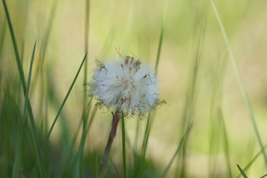 Similar image 6906450