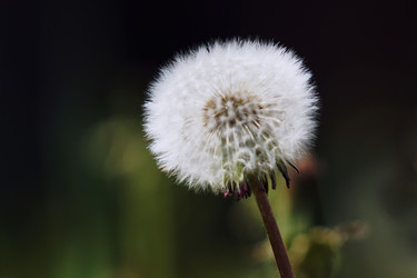 Similar image 6906451