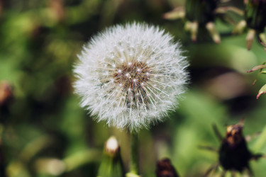 Similar image 6906453