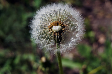 Similar image 6906454