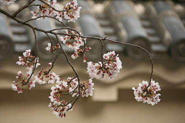 Similar image 6906522