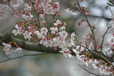 Similar image 6906524