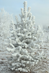 Similar image 6906732