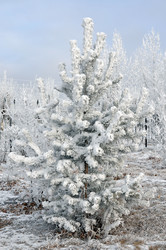 Similar image 6906735