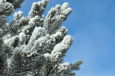 Similar image 6906763