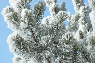 Similar image 6906766