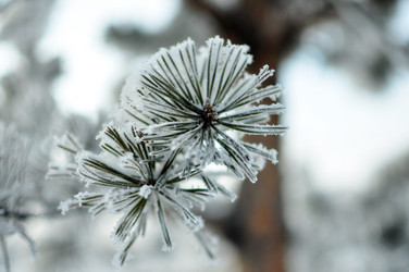 Similar image 6906771