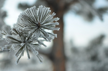 Similar image 6906775