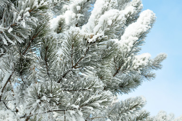 Similar image 6906777