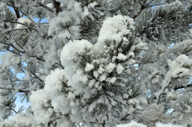 Similar image 6906778