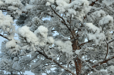 Similar image 6906781