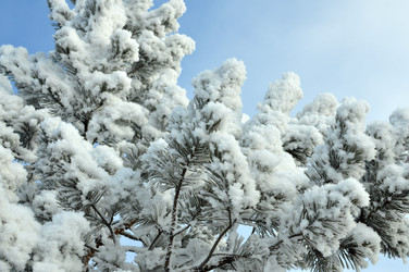 Similar image 6906782