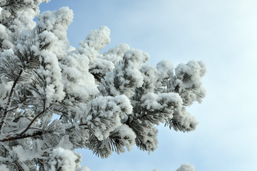 Similar image 6906784