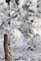 Similar image 6906787