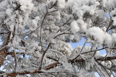 Similar image 6906788