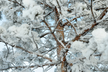 Similar image 6906792