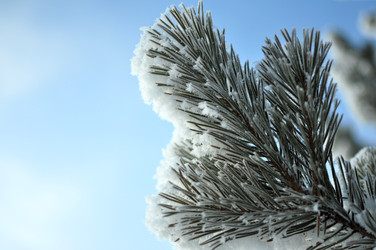 Similar image 6906794