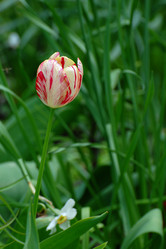 Similar image 6924858