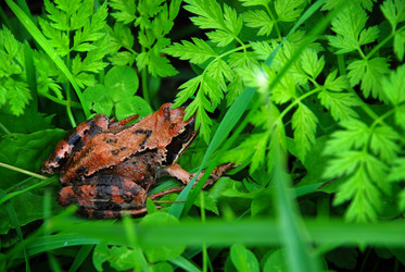 Similar image 6924861