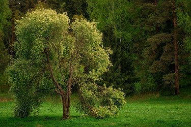 Similar image 6924862