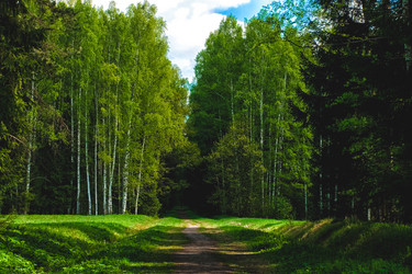 Similar image 6924865