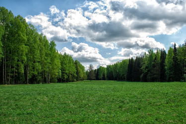 Similar image 6924867