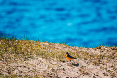 Similar image 6924907