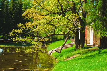 Similar image 6924912