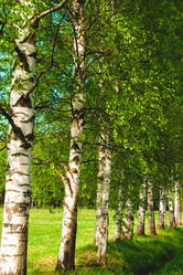 Similar image 6924923