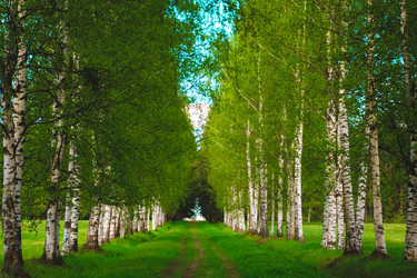 Similar image 6924924