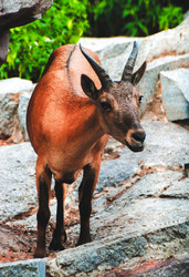 Similar image 6924930