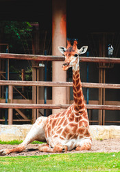 Similar image 6924931