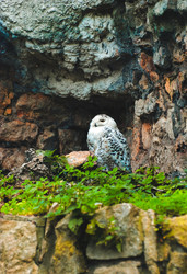 Similar image 6925028