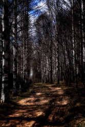 Similar image 6925035