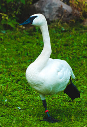 Similar image 6926238