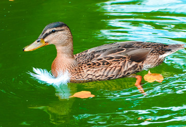 Similar image 6926240