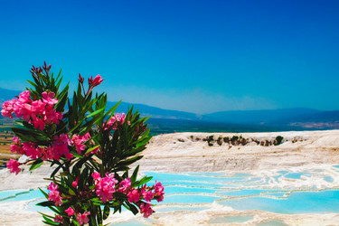 Similar image 6926243