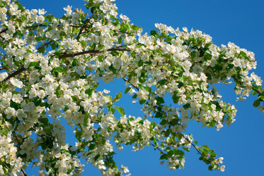 Similar image 6926249