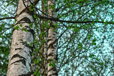 Similar image 6926250