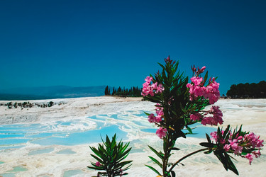 Similar image 6926289