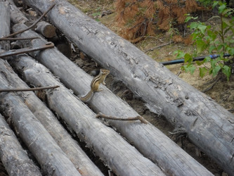 Similar image 6927485